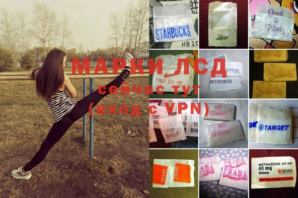 спайс Аркадак